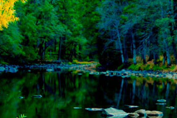 TRANQUILITY
