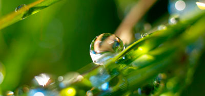 ARMONIA